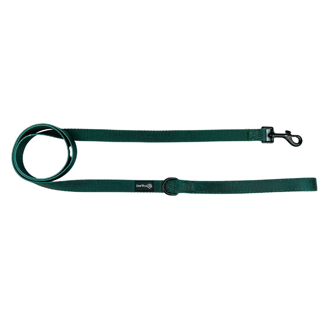 Evergreen Dream Leashes - American Bark Bliss