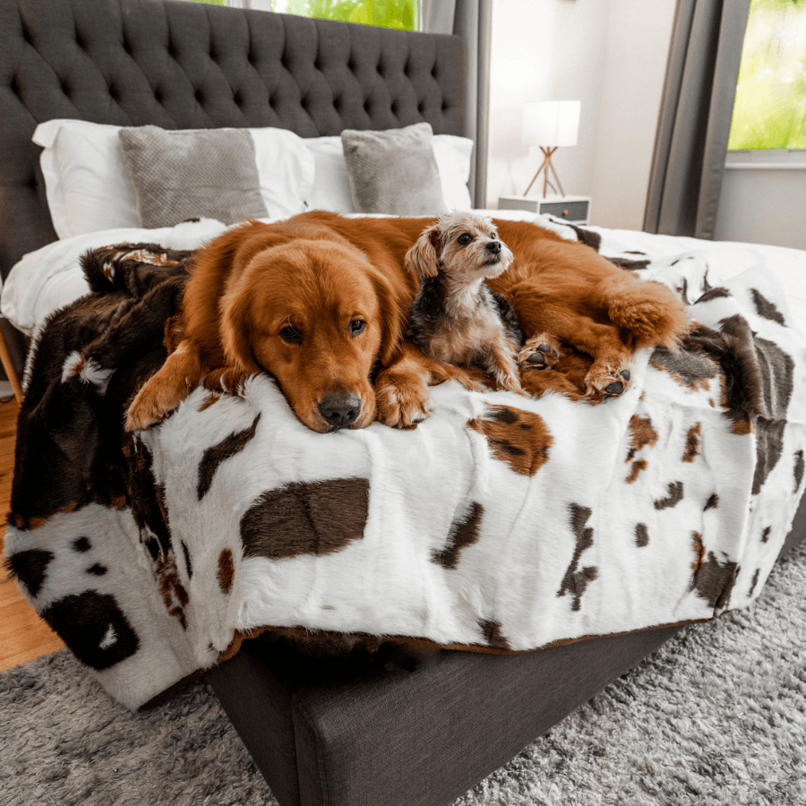 PupProtector™ Waterproof Blanket - Brown Faux Cowhide Protector - American Bark Bliss