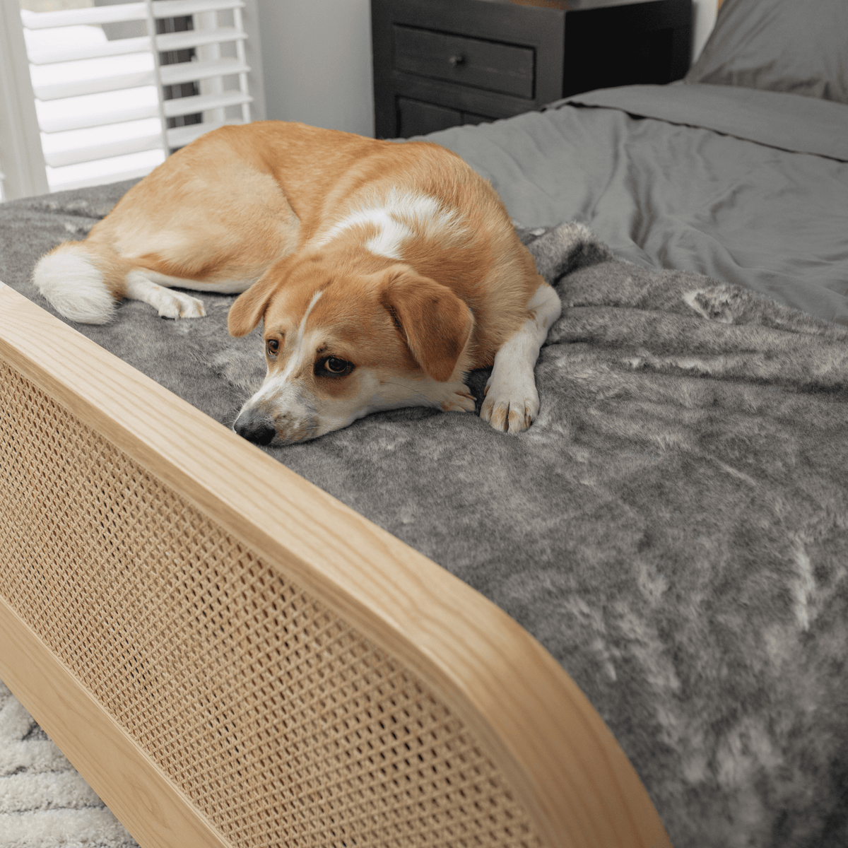 PupProtector™ Luxe Waterproof Dog Bed Runner - Chinchilla - American Bark Bliss