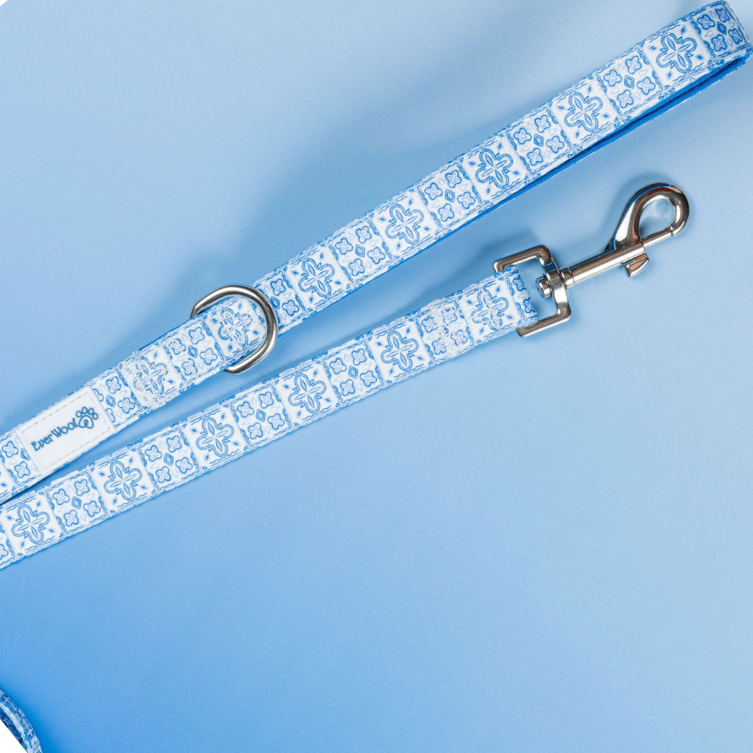 Santorini Leash - American Bark Bliss
