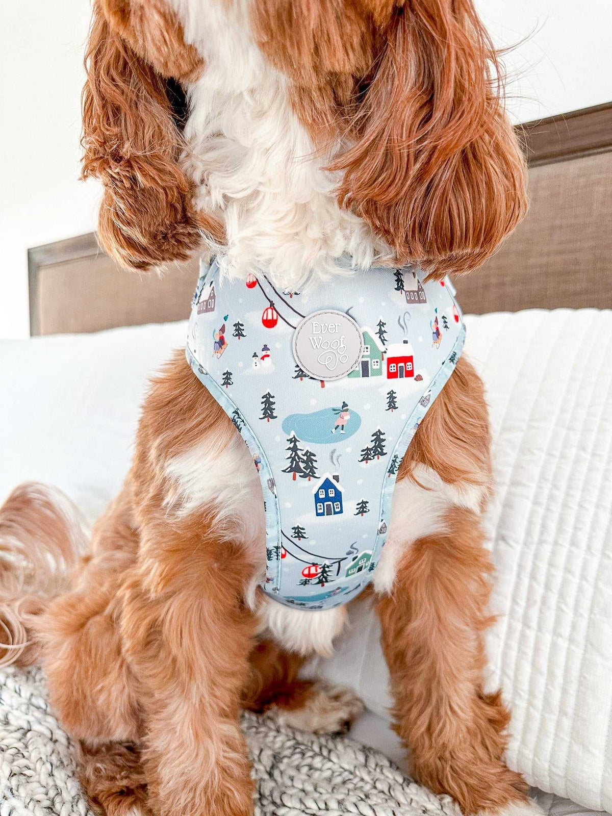 Snowy Slopes Adjustable Harness - American Bark Bliss