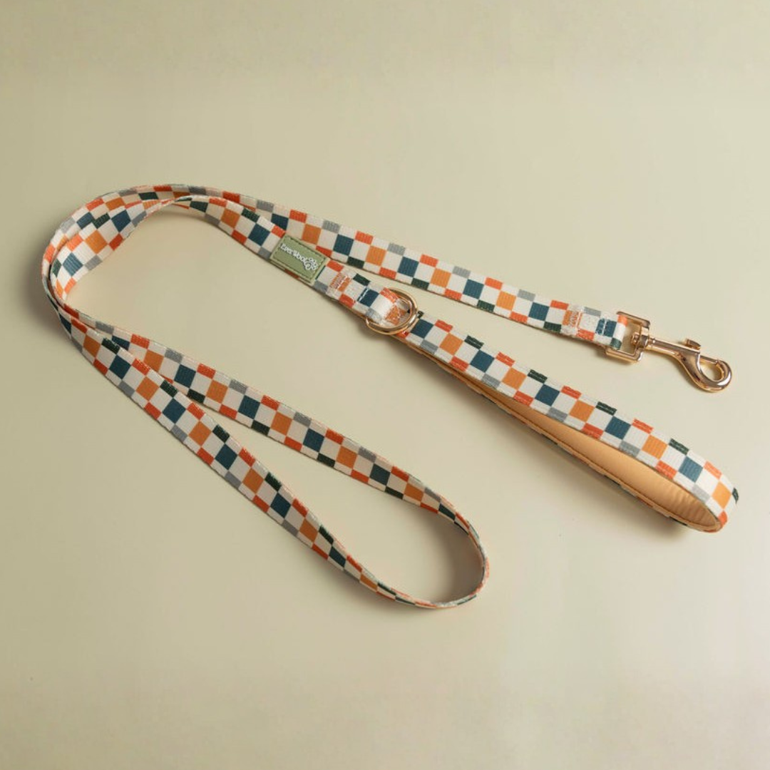 Sage & Cider Leash - American Bark Bliss