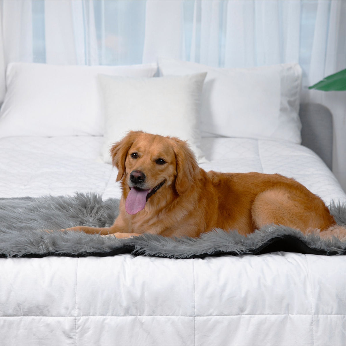 Waterproof Dog Bed Runner - PupProtector™ Charcoal Grey - American Bark Bliss