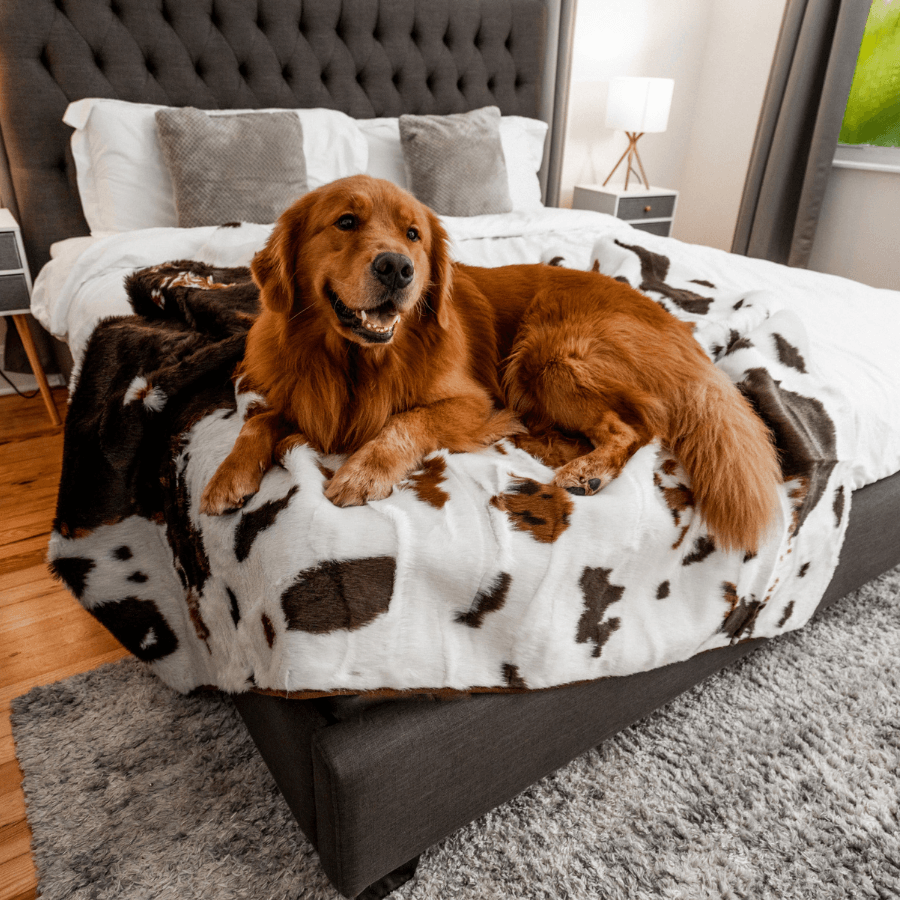 PupProtector™ Waterproof Blanket - Brown Faux Cowhide Protector - American Bark Bliss