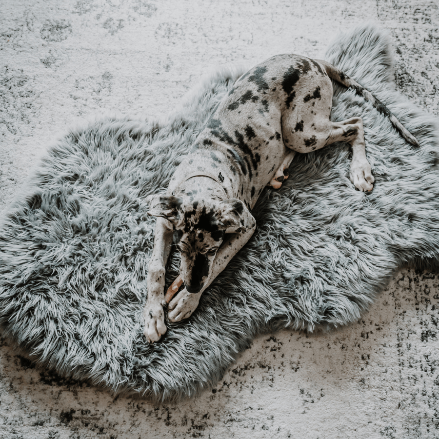 PupRug by Paw.com® Faux Fur Orthopedic Dog Bed - Curve Charcoal Grey - American Bark Bliss