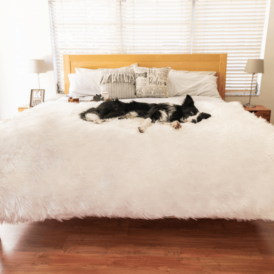 PupProtector Waterproof Dog Blanket - Polar White - American Bark Bliss