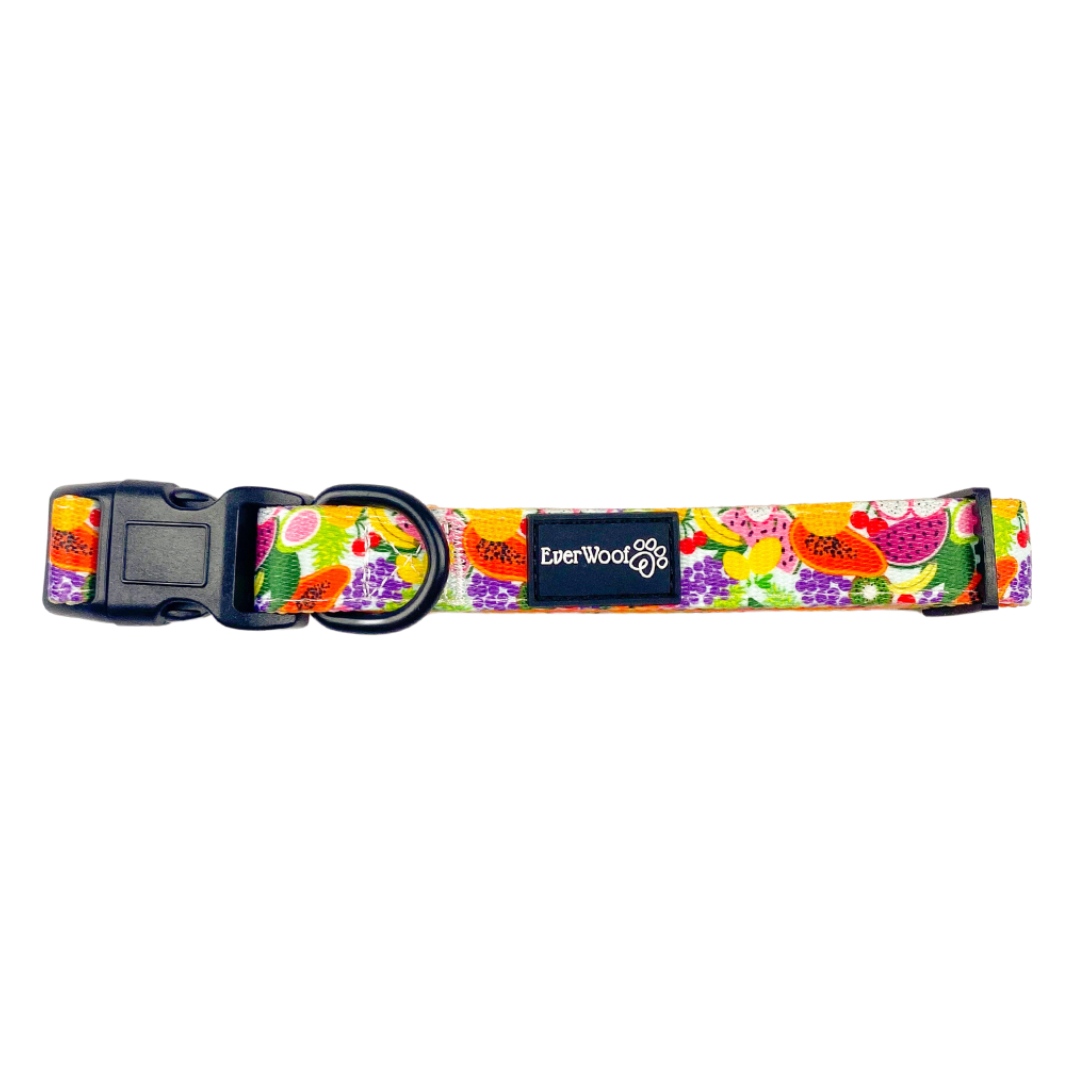 Tutti Frutti Collar - American Bark Bliss