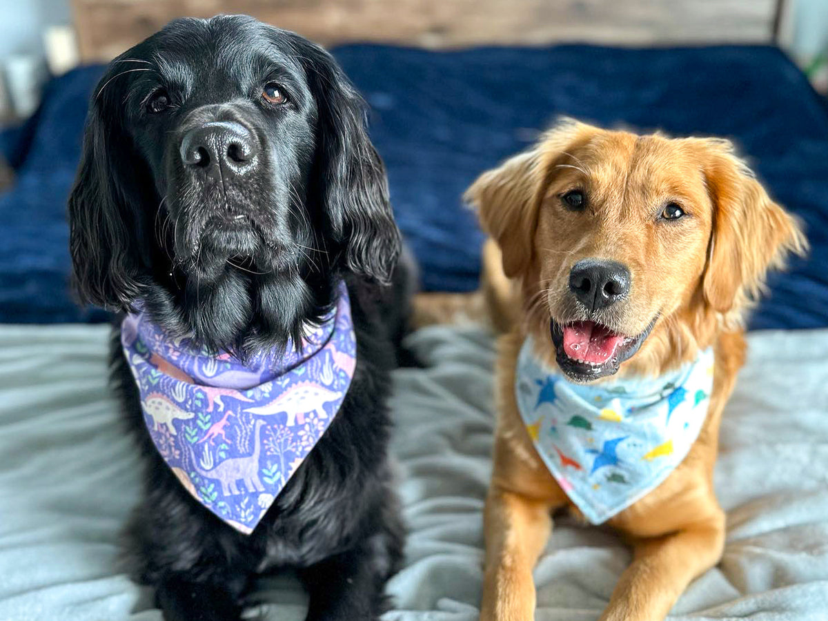 "B&W Halloween" Dog Bandana (Glow in the Dark) - American Bark Bliss