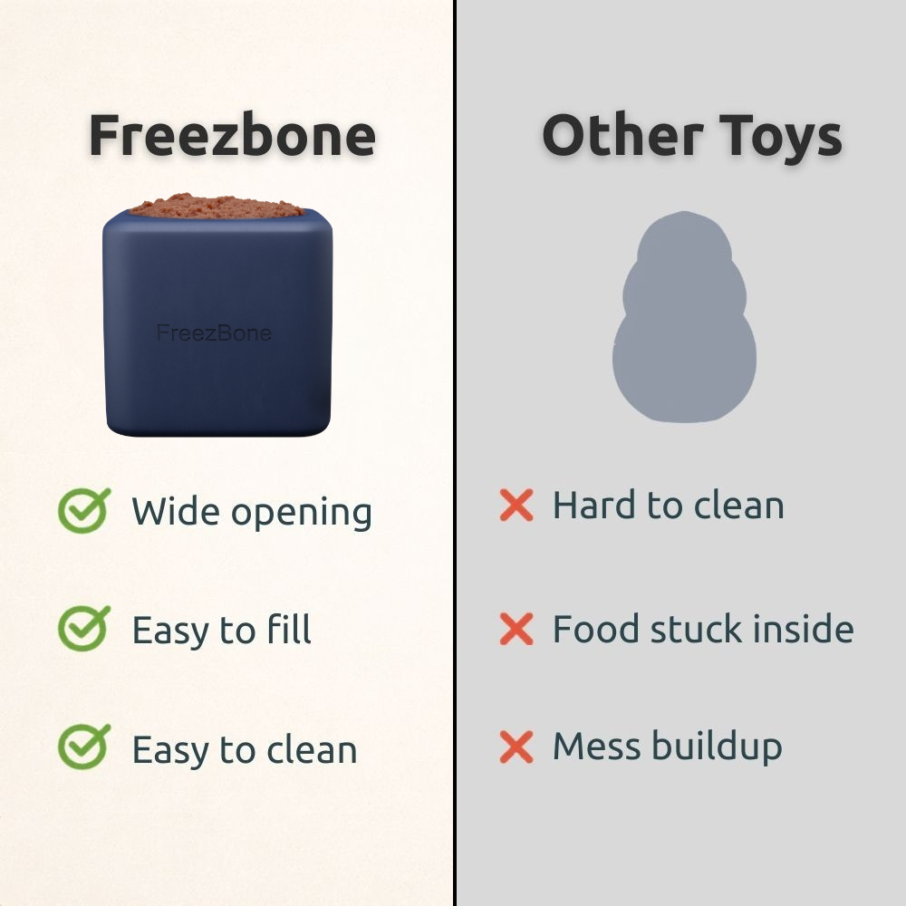 Freezbox - Super Tough Treat Toy