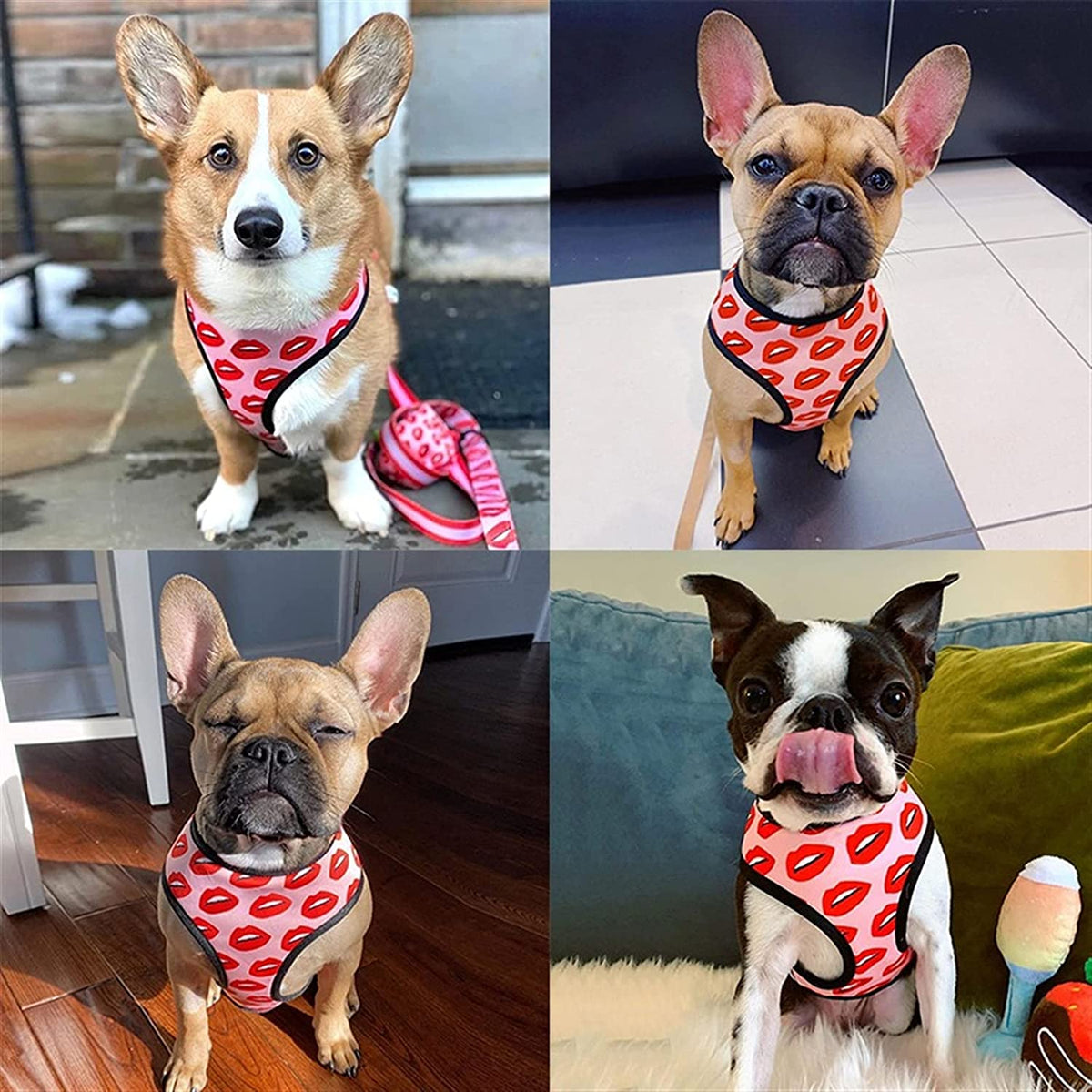 Pet Breathable Mesh Harness with Traction - American Bark Bliss