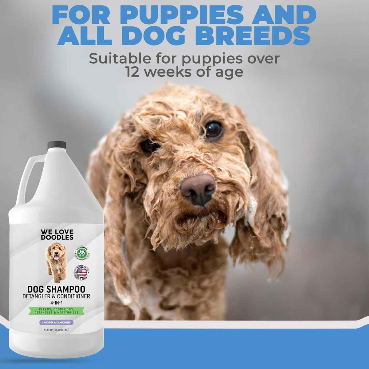 Dog Shampoo Half-Gallon Lavender