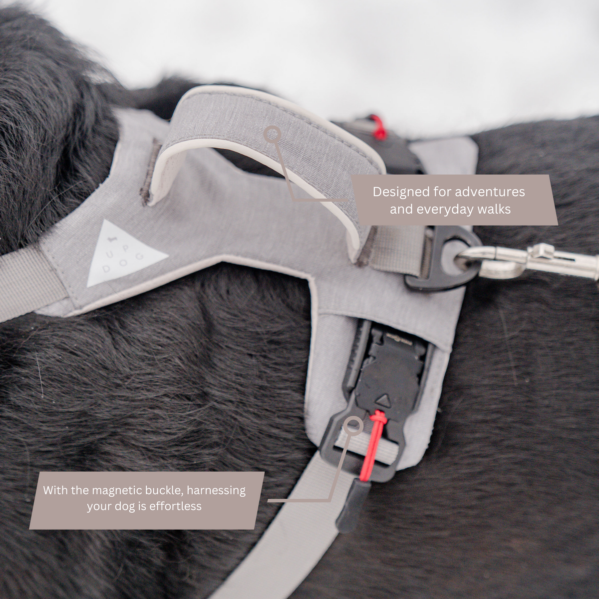 Magnetic Dog Harness - American Bark Bliss