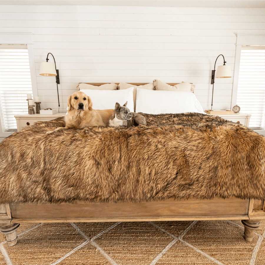 PupProtector Waterproof Dog Blanket - Sable Tan - American Bark Bliss