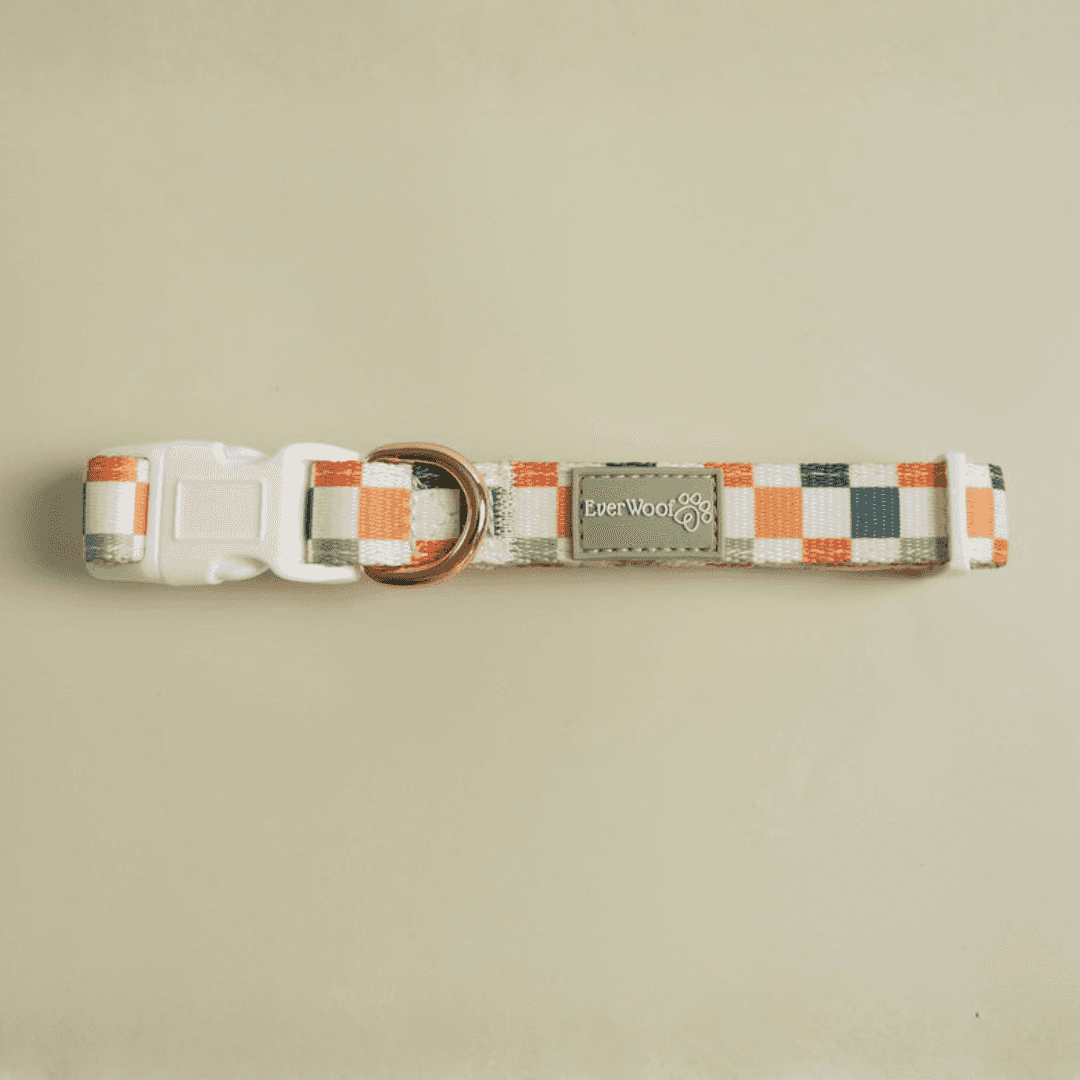 Sage & Cider Collar - American Bark Bliss