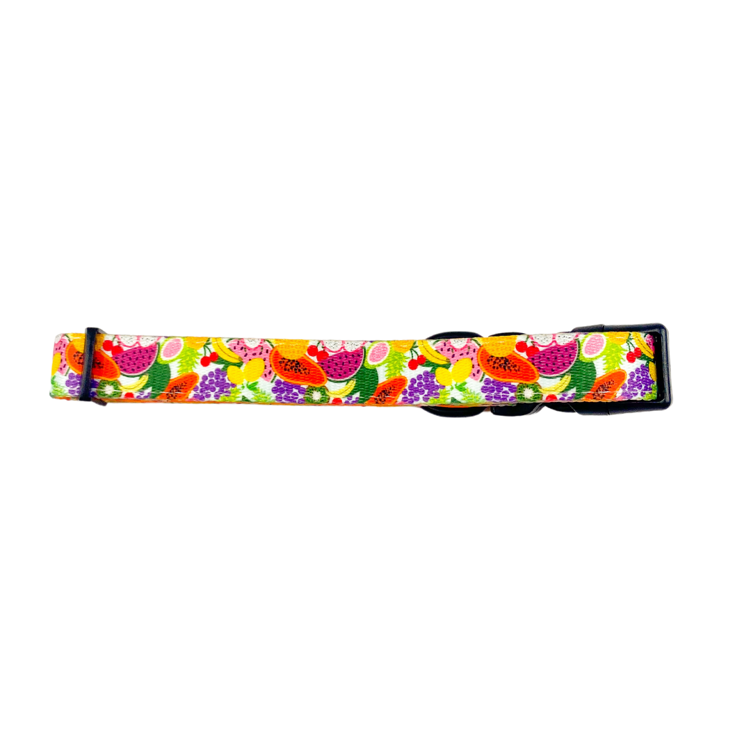 Tutti Frutti Collar - American Bark Bliss