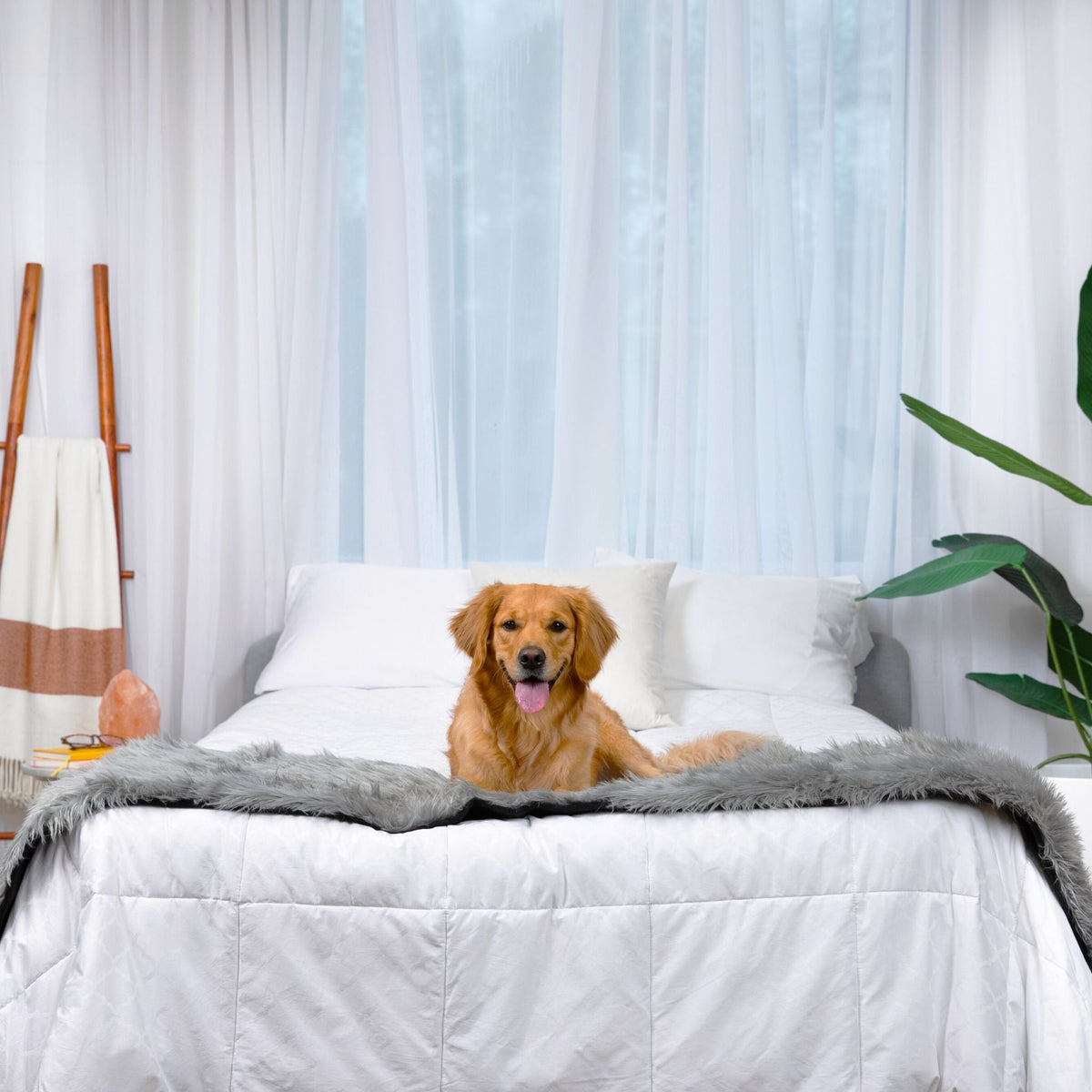 Waterproof Dog Bed Runner - PupProtector™ Charcoal Grey - American Bark Bliss