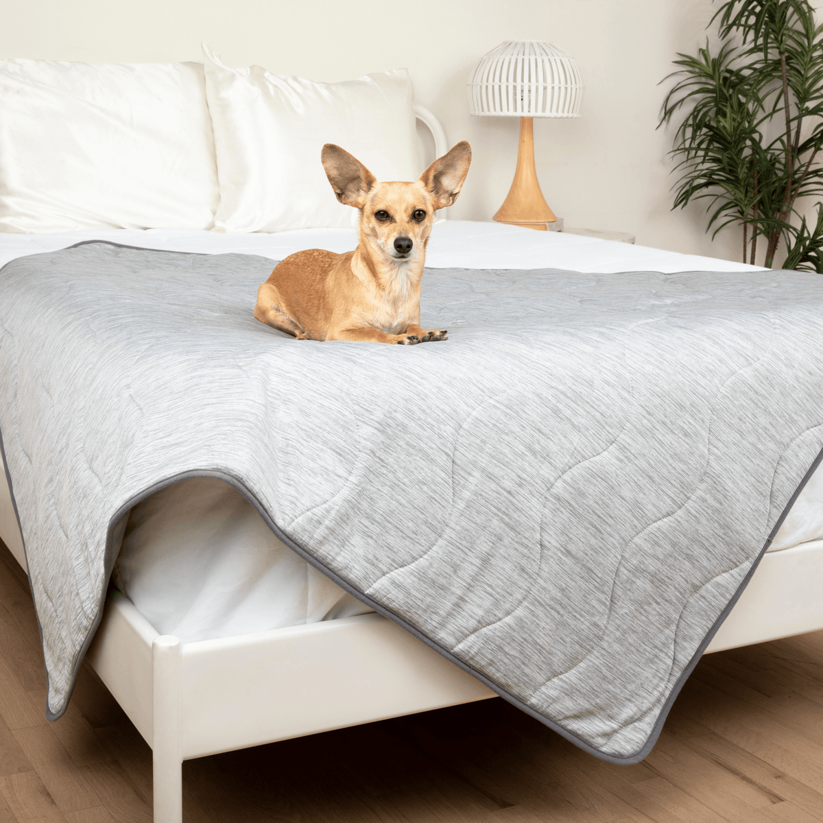 PupChill™ Cooling Waterproof Dog Blanket - Arctic Grey - American Bark Bliss