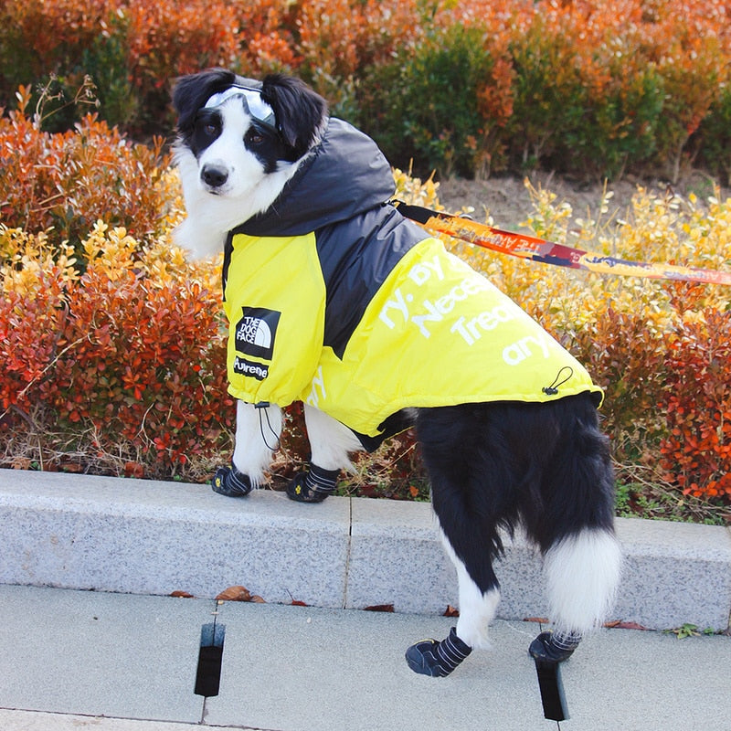 Dog Face Windproof Waterproof Reflective Pet Jacket - American Bark Bliss
