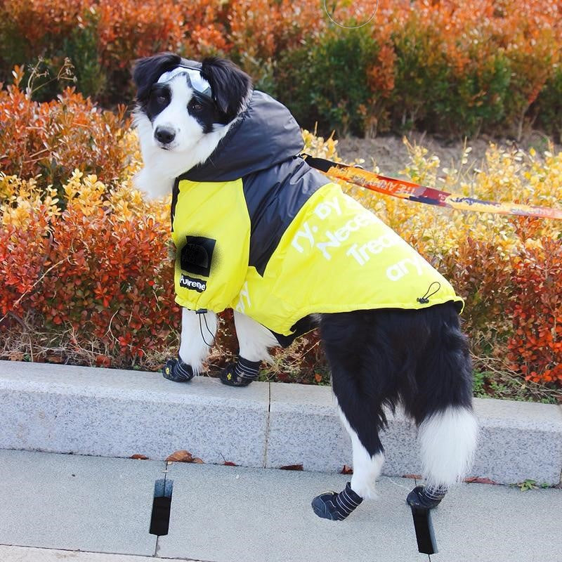 Dog Face Windproof Waterproof Reflective Pet Jacket - American Bark Bliss