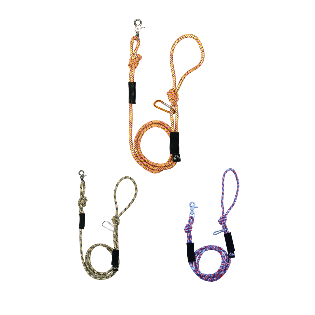 Kernmantle Dog Leash for Medium to Small Dogs - American Bark Bliss