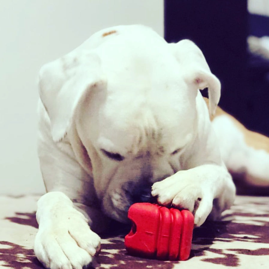 Large Rubber Heart on a String Toy - American Bark Bliss