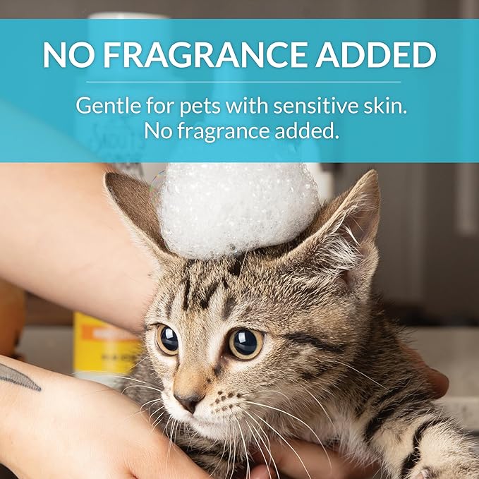 Skout's Honor Unscented Probiotic Cat Shampoo & Conditioner with Avocado Oil & Omega-3s, 97% Natural, Paraben & Sulfate-Free, Cruelty-Free, 16oz, Fragrance Free