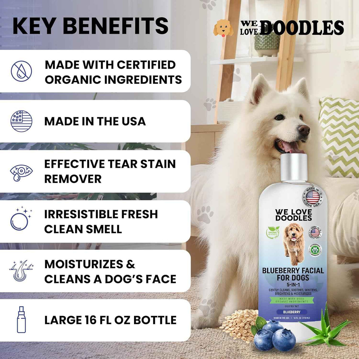 Blueberry Facial Dog Shampoo