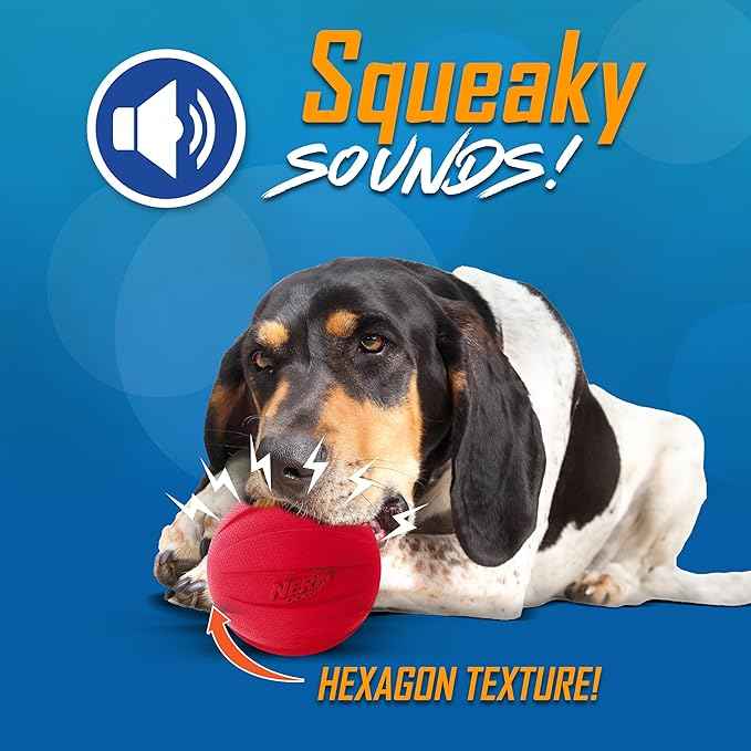 Nerf Dog Classic Squeak Ball Outdoor Dog Toys, 3.8 Inch Dog Ball Fetch Toy, Squeaking Toy for Medium and Large Breeds, Green/Red, 2 Count