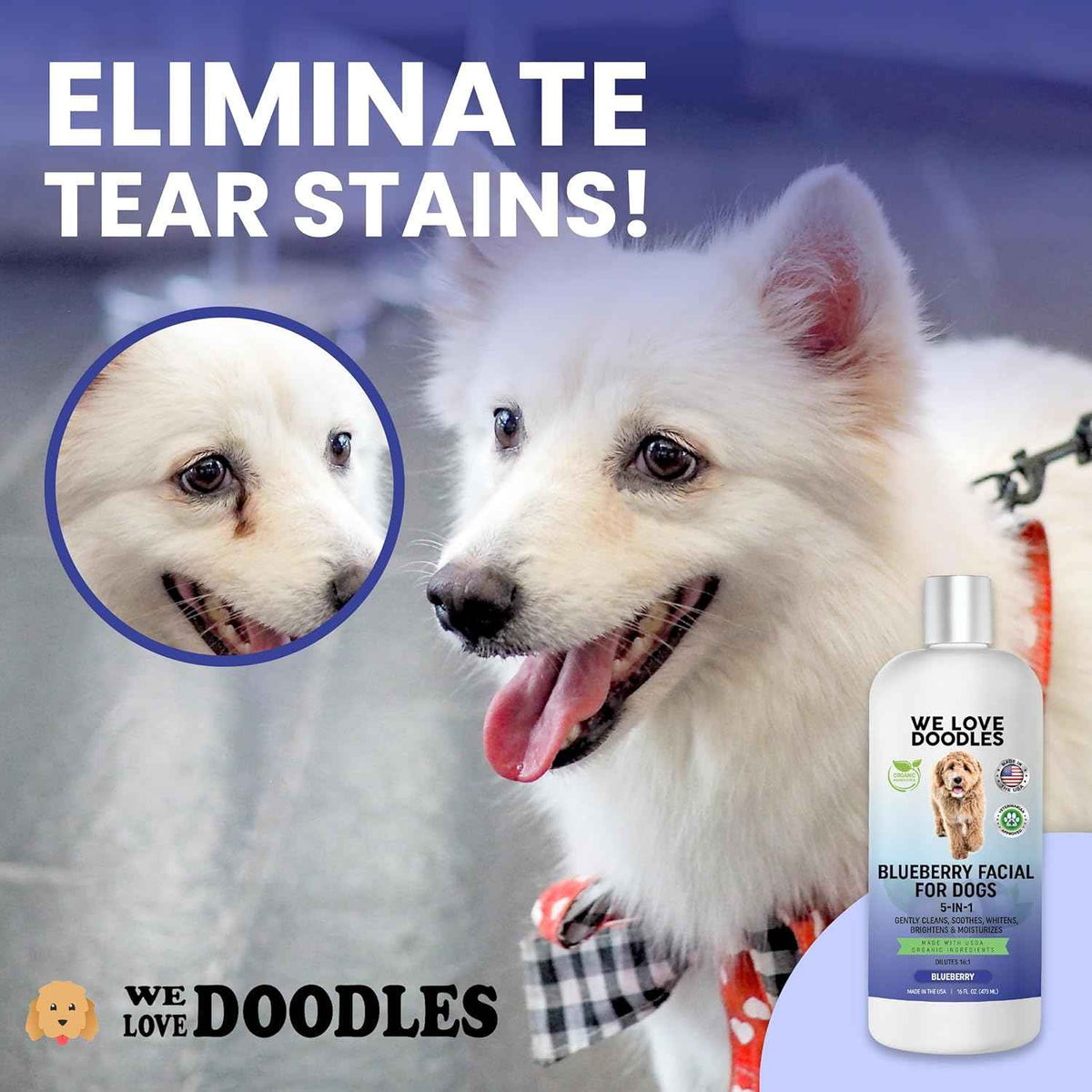 Blueberry Facial Dog Shampoo