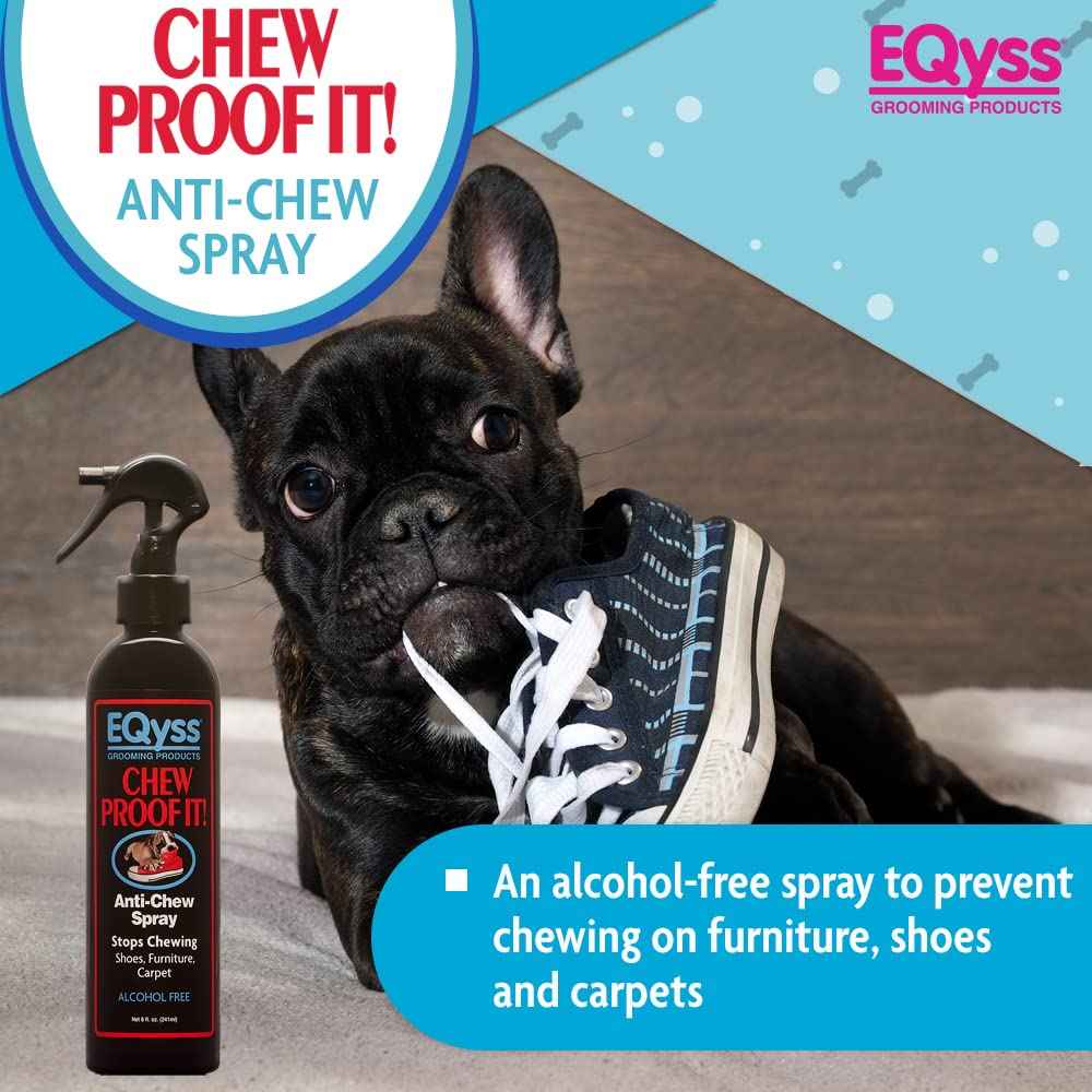 Chew Proof It!