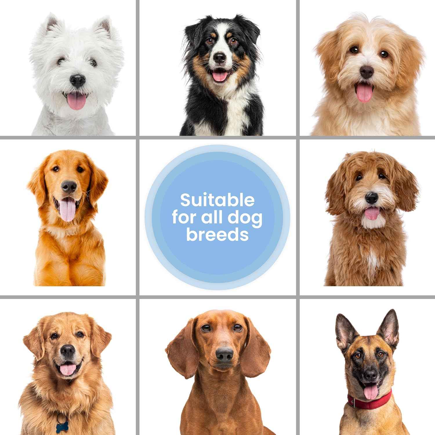 Waterless Dog Shampoo Unscented