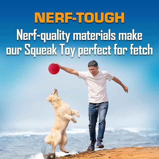 Nerf Dog Classic Squeak Ball Outdoor Dog Toys, 3.8 Inch Dog Ball Fetch Toy, Squeaking Toy for Medium and Large Breeds, Green/Red, 2 Count