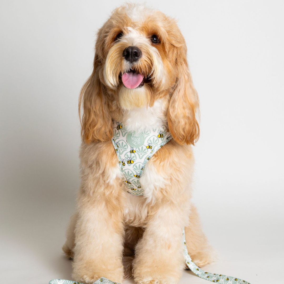Little Honey Adjustable Harness - American Bark Bliss