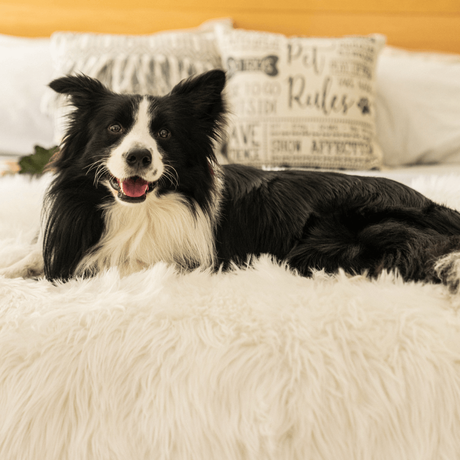PupProtector Waterproof Dog Blanket - Polar White - American Bark Bliss