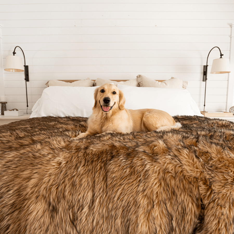 PupProtector Waterproof Dog Blanket - Sable Tan - American Bark Bliss