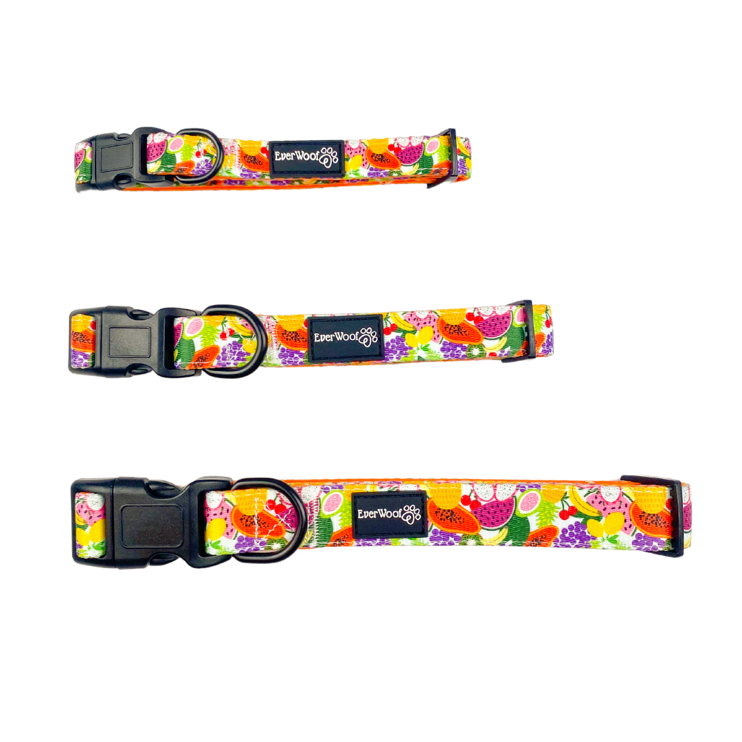 Tutti Frutti Collar - American Bark Bliss