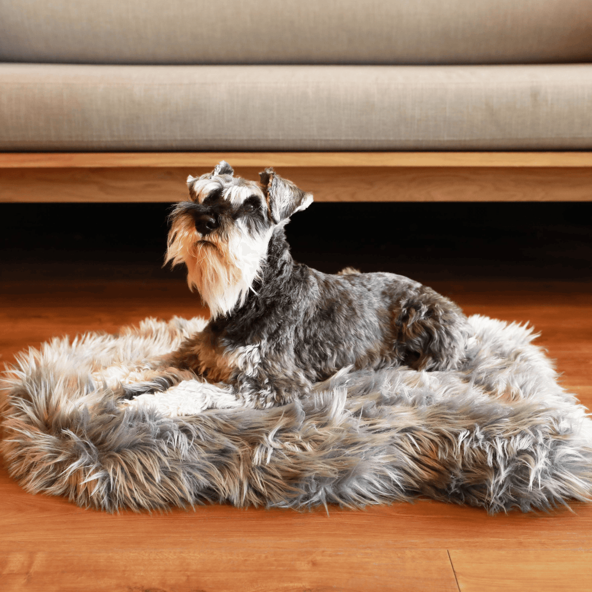 PupRug by Paw.com® Faux Fur Orthopedic Dog Bed - Curve Charcoal Grey - American Bark Bliss