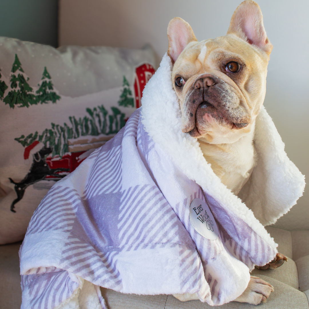Sugar Plum Dog Blanket - American Bark Bliss