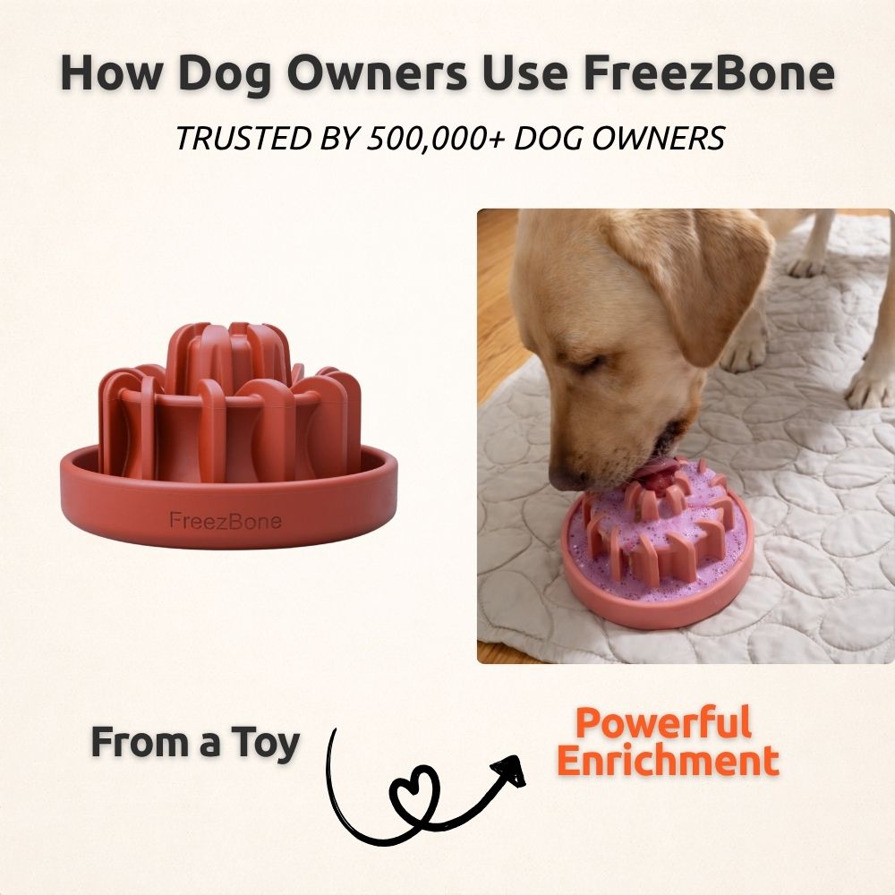 FreezLava Heavy-Duty Enrichment Chew