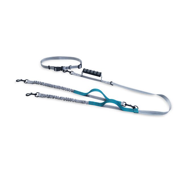 Handsfree Bungee Dog Leash for Running and Walking - American Bark Bliss