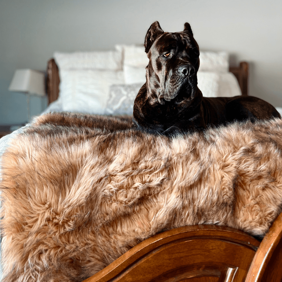 PupProtector Waterproof Dog Blanket - Sable Tan - American Bark Bliss