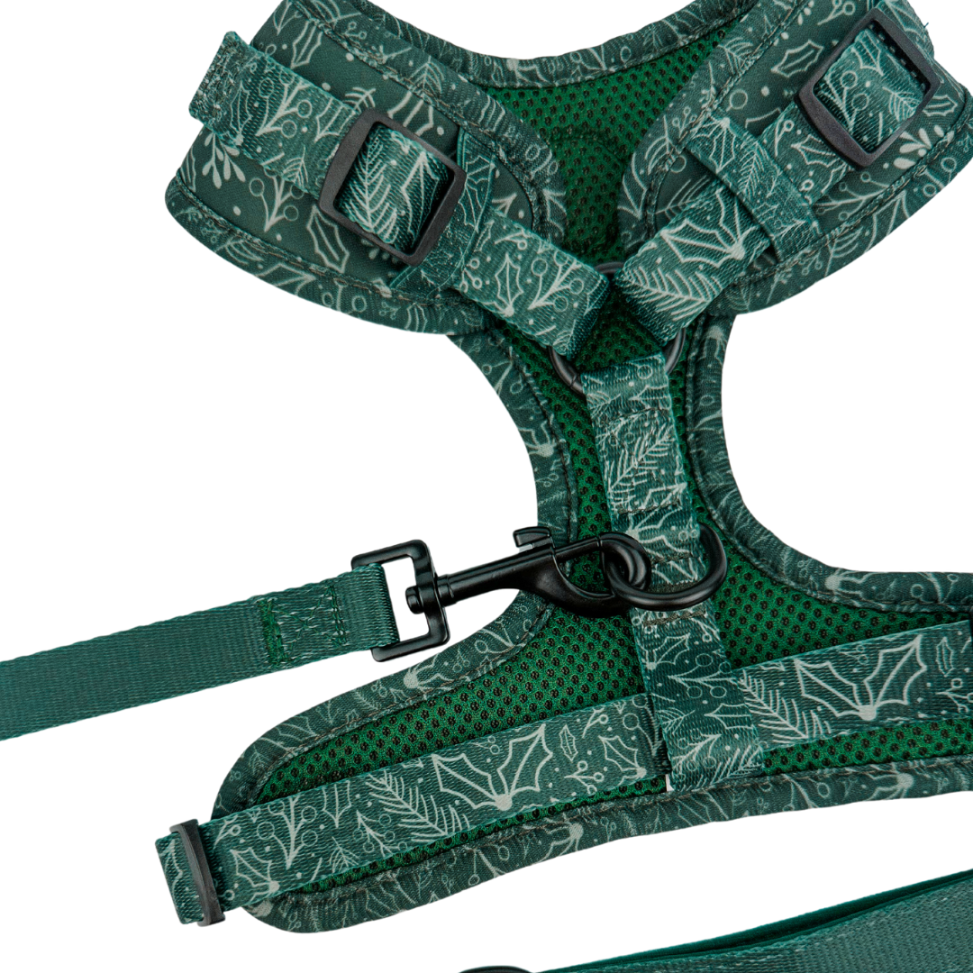 Evergreen Dream Leashes - American Bark Bliss