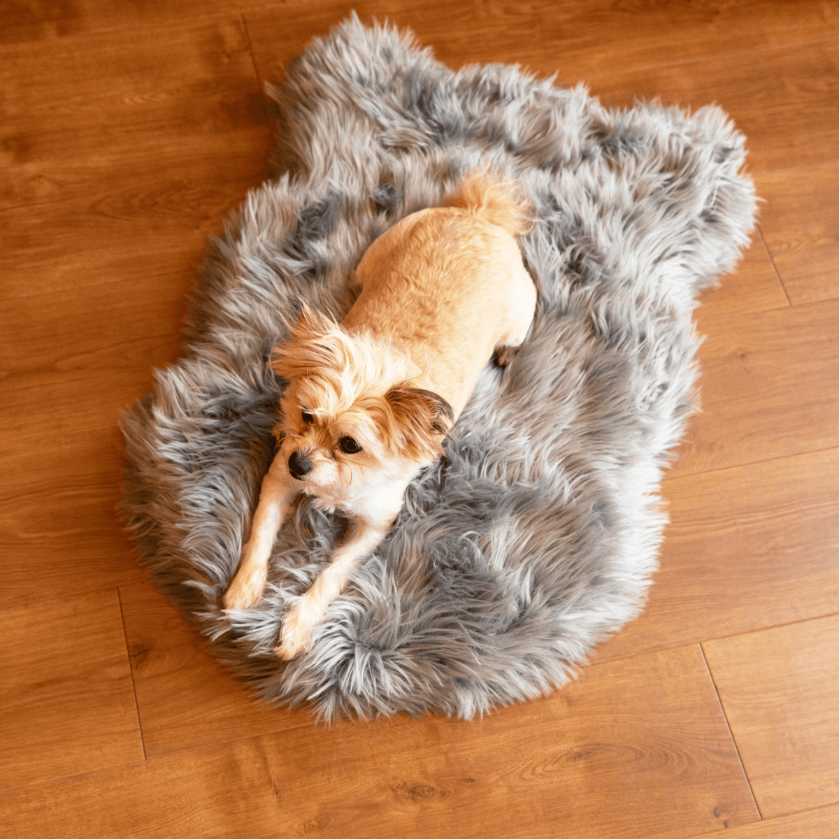PupRug by Paw.com® Faux Fur Orthopedic Dog Bed - Curve Charcoal Grey - American Bark Bliss