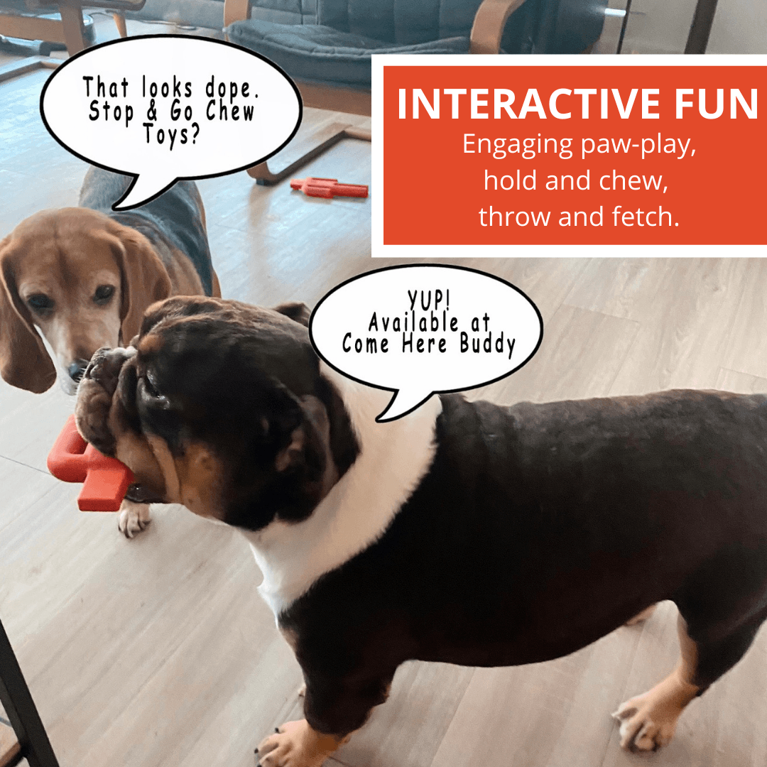Durable Dog Chew Toy for All Breeds and Sizes - American Bark Bliss