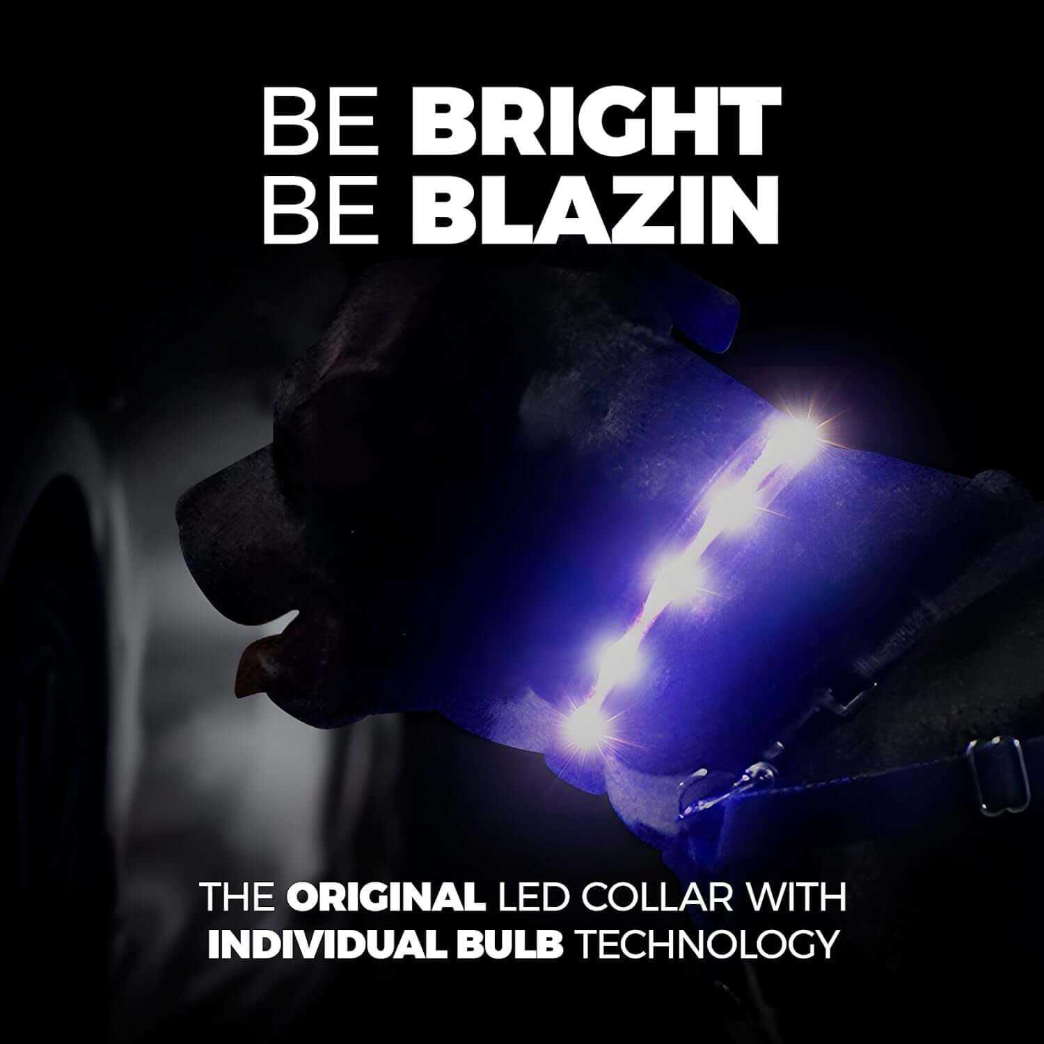 Brightest Original LED Light up Dog Collars - 1,000 Feet of Visibility
