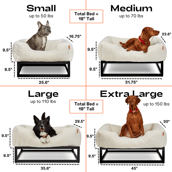 Cozy Raised Dog Lounger