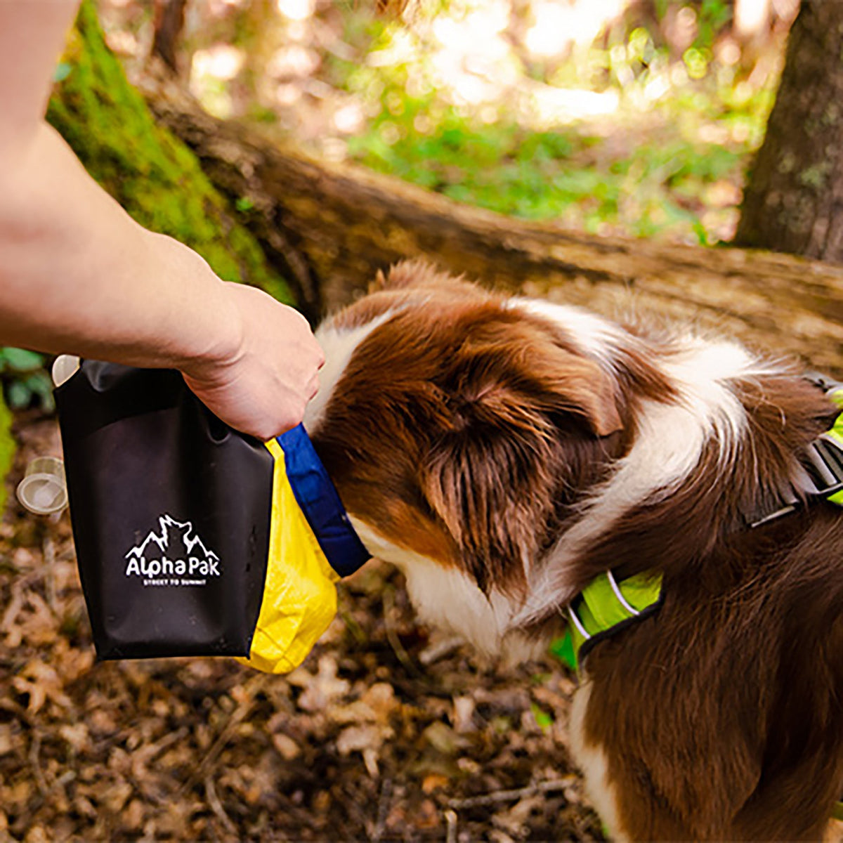 Kobuk Dog Water Bladder for Outdoor Adventures - American Bark Bliss