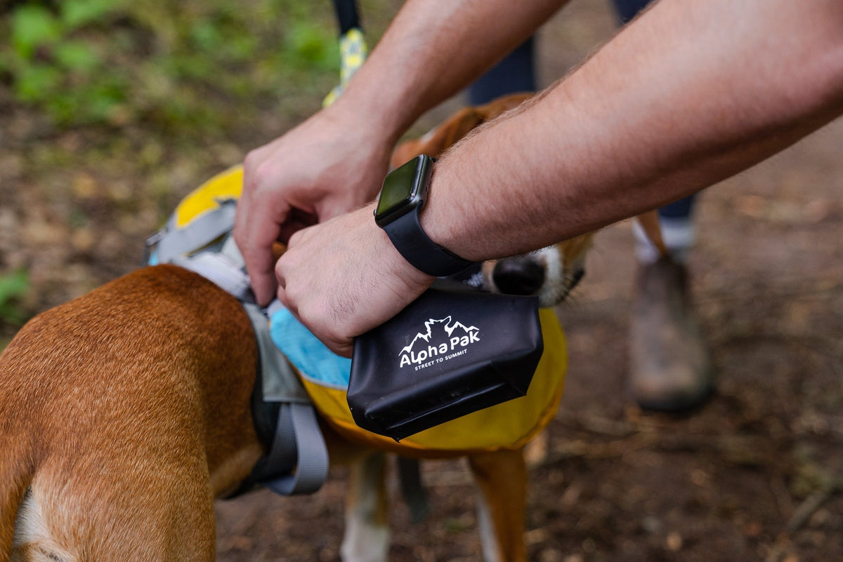 Kobuk Dog Water Bladder for Outdoor Adventures - American Bark Bliss