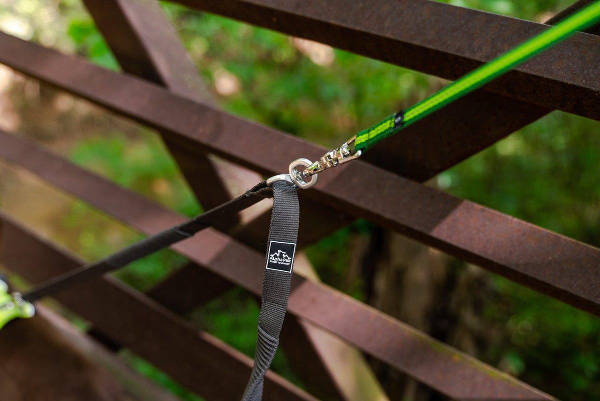 Teton Dark Gray Elastic Dog Leash Coupler for Two Dogs - American Bark Bliss