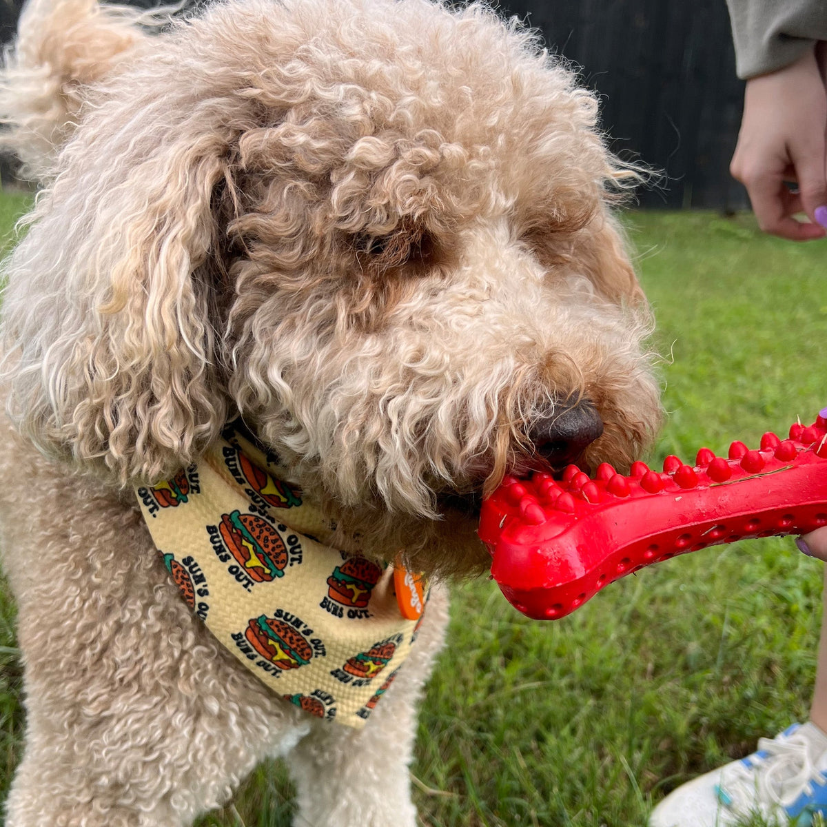 Durable Rubber Dog Toy - Arlo's Favorite Bone - American Bark Bliss